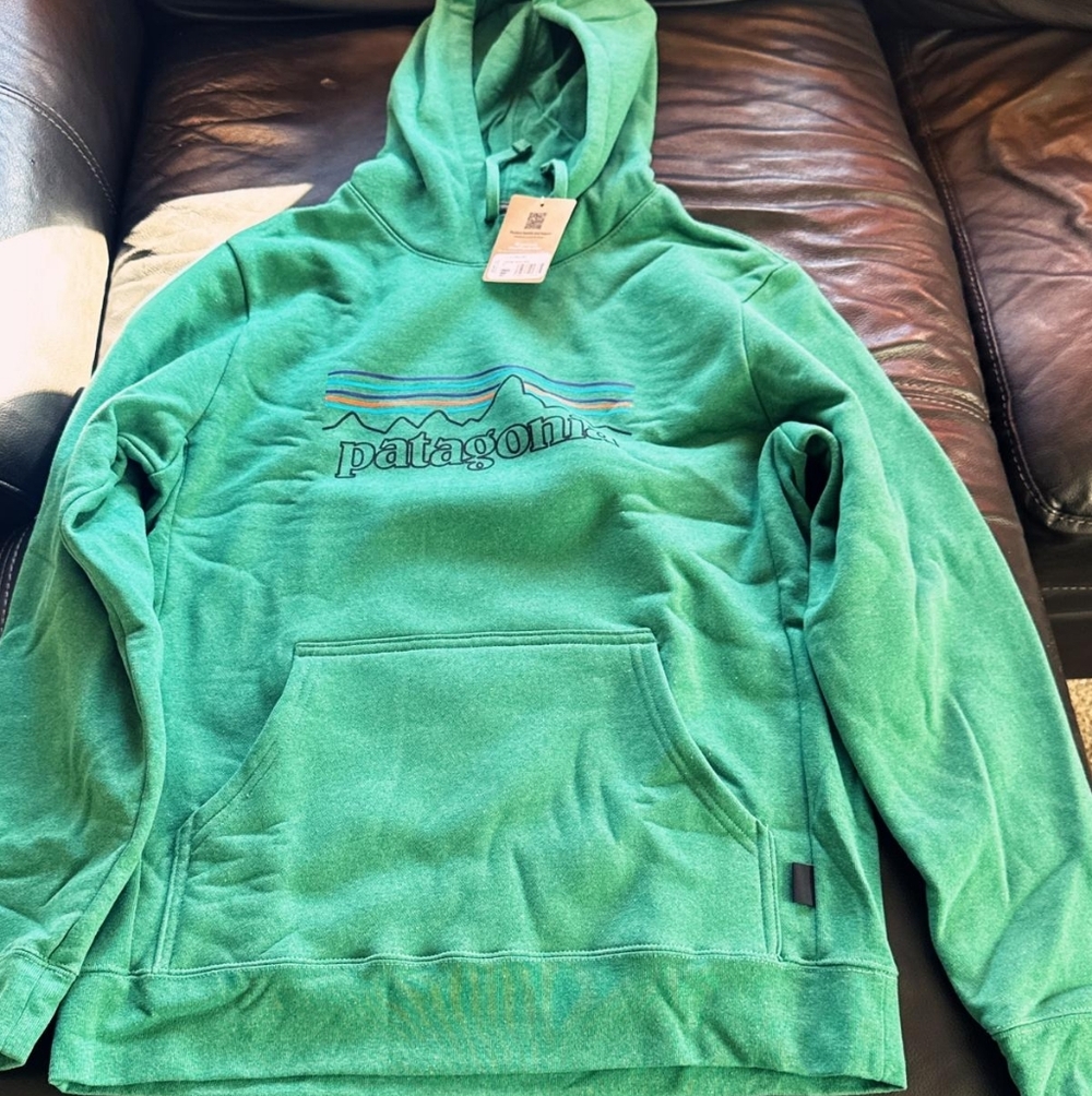 Patagonia Vibrant Green Men's Hoodie
